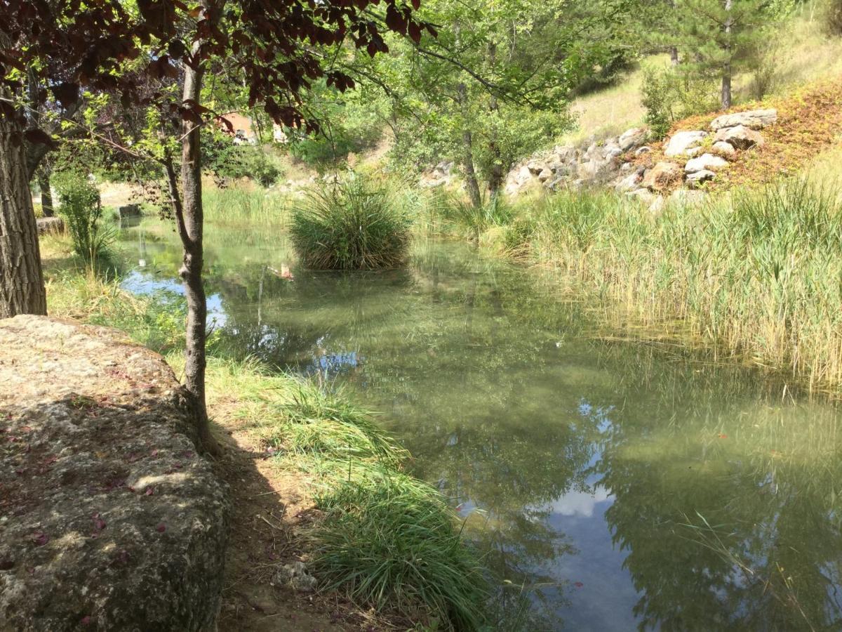 Mazet Tournesol aux portes du Verdon Saint-Martin-de-Brômes Extérieur photo