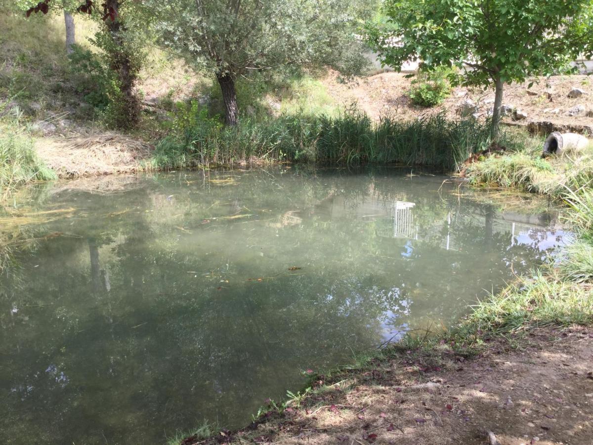 Mazet Tournesol aux portes du Verdon Saint-Martin-de-Brômes Extérieur photo